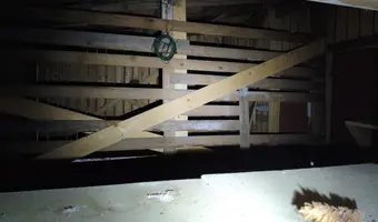 Domek nad stawem - zdjęcie 4/4