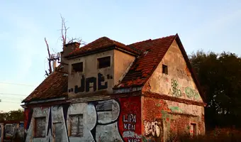 Zarośnięty dom