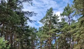 Opuszczone domki nad morzem