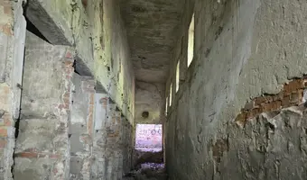 Cegielnia w Psurzu k. Kutna, Psurze