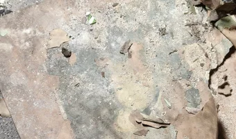 Radiówek, wiązowna