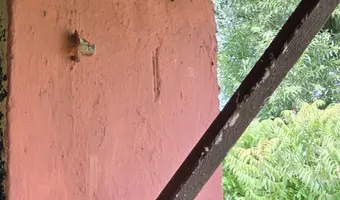 Schronisko dla bezdomnych zwierząt, Łęczyca