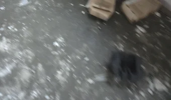 Opuszczona hurtownia tytoniu, Łódź