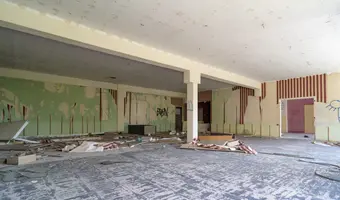 Złota Sosna
