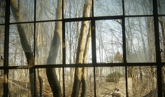 Opuszczone szklarnie