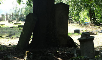 Cmentarz mennonitów (XVIII w.), Fiszewo,