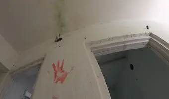 Opuszczony dom na skraju lasu