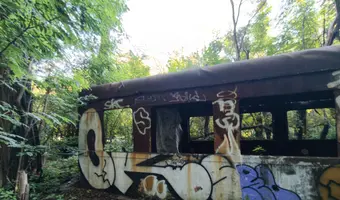 Wagon