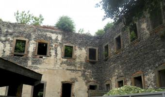 Ruiny Klasztoru Cystersów, Winnica,