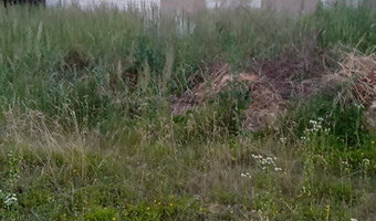 Ferma kurczaków