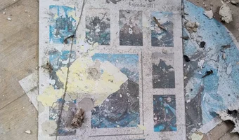 Dawna szkoła podstawowa