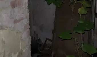 O p u s z c z o n y d o m - zdjęcie 4/7