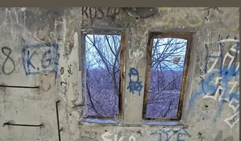 Miodownik