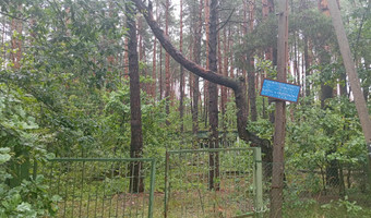 Domki letniskowe,
