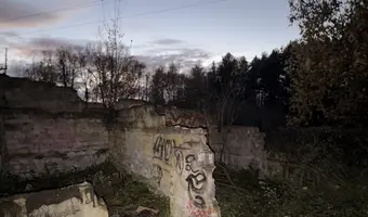 Ruiny budynku w środku lasu