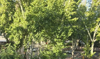 Opuszczony most kolejowy