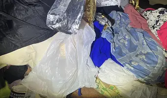 Wielka melina w starej działce