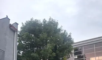 Opuszczona szkoła wyższa