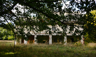 Pałac w patoce