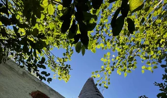 Opuszczona cegielnia, pszczyna