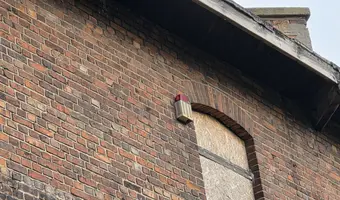 Opuszczony Budynek, Gdańsk