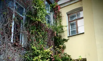 Opuszczona kamienica piaseczno - photo 2/8