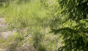 Fabryka Skibno