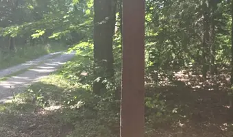 Starożytny cmentarz kurhanowy - zdjęcie 2/3