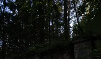 Radiówek, Wiązowna
