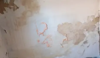 Opuszczona kamienica - photo 4/4