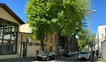 Opuszczony Dom