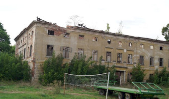 Ruiny pałacu , droglowice