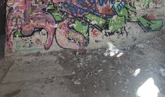 Zakład dla nerwowo i psychicznie chorych Żydów - zofiówka