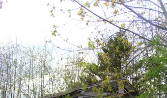 Opuszczone szklarnie - zdjęcie 4/4