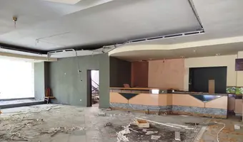 Złota Sosna