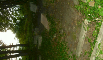 Zrujnowany cmentarz, Gdańsk Wrzeszcz,