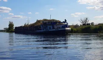Opuszczona barka "Regina"
