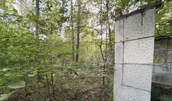 Opuszczona studnia w lesie - zdjęcie 4/8