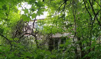 Opuszczony dom - zdjęcie 2/4