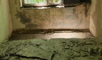 Opuszczone Budynki Rydzynki