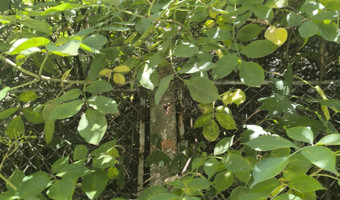 Opuszczony budynek.