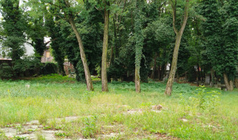 Cmentarz żydowski