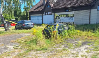 Wrośnięte auto
