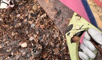 Opuszczona stacja kolejowa