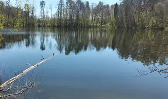 Opuszczona leśniczówka - zdjęcie 3/4