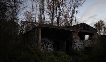 Ruiny budynku w środku lasu