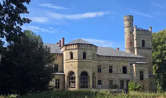Pałac z  XIX-wieku., Dreżewo