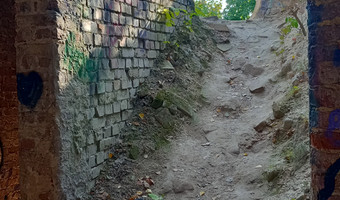 Zakład dla nerwowo i psychicznie chorych Żydów - zofiówka