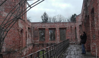 Ruiny zamku Żmigród