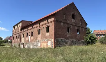 Przedsiębiorstwo nasienne "Centrala nasienna"